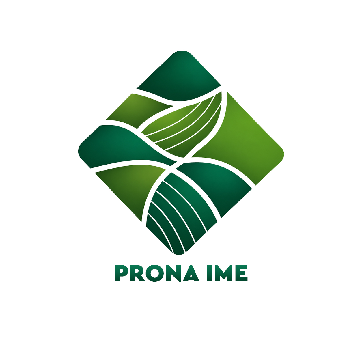 Logo: Prona Ime